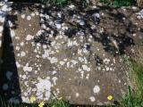 image of grave number 961309